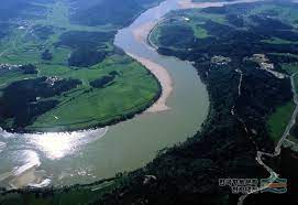 「韓国最大河川の水で栽培したコメから毒素検出・青酸カリの100倍」環境団体や与党議員ら