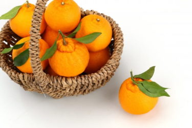 韓国農業当局「米国業者が日本種に代え韓国産柑橘種を採用」「日本が独占する米市場崩す」